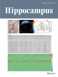 HIPPOCAMPUS
