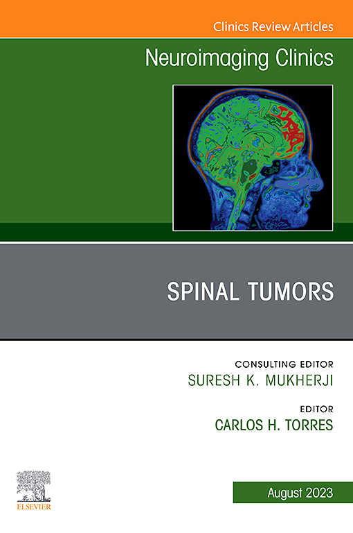 NEUROIMAGING CLINICS OF NORTH AMERICA