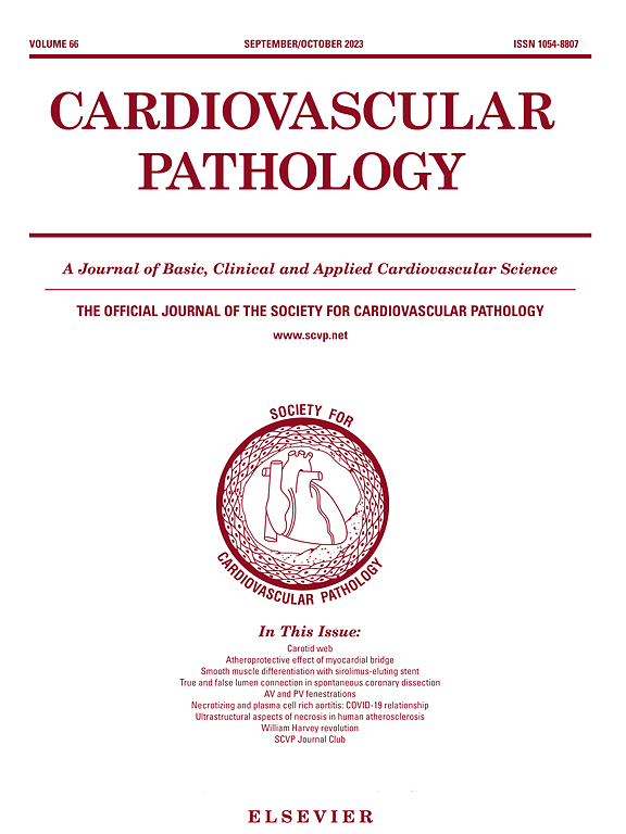 CARDIOVASCULAR PATHOLOGY