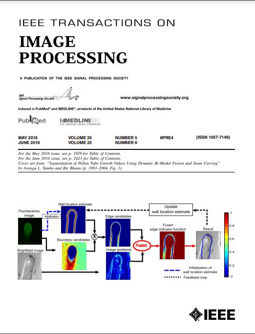 IEEE TRANSACTIONS ON IMAGE PROCESSING