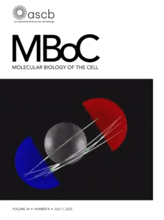 MOLECULAR BIOLOGY OF THE CELL