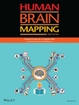 HUMAN BRAIN MAPPING