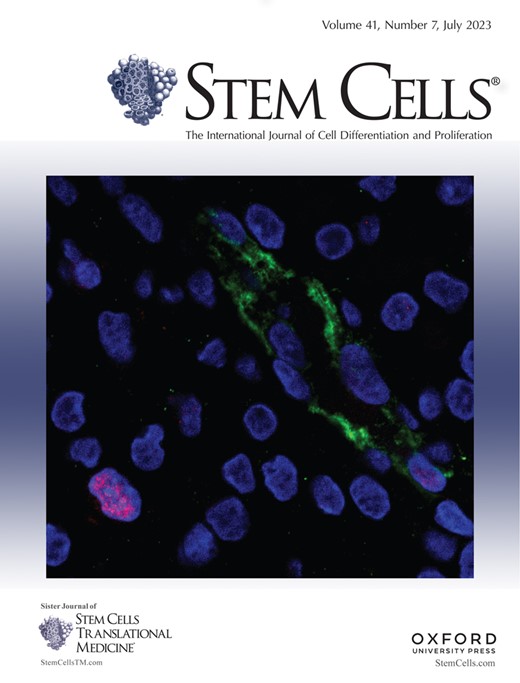 STEM CELLS