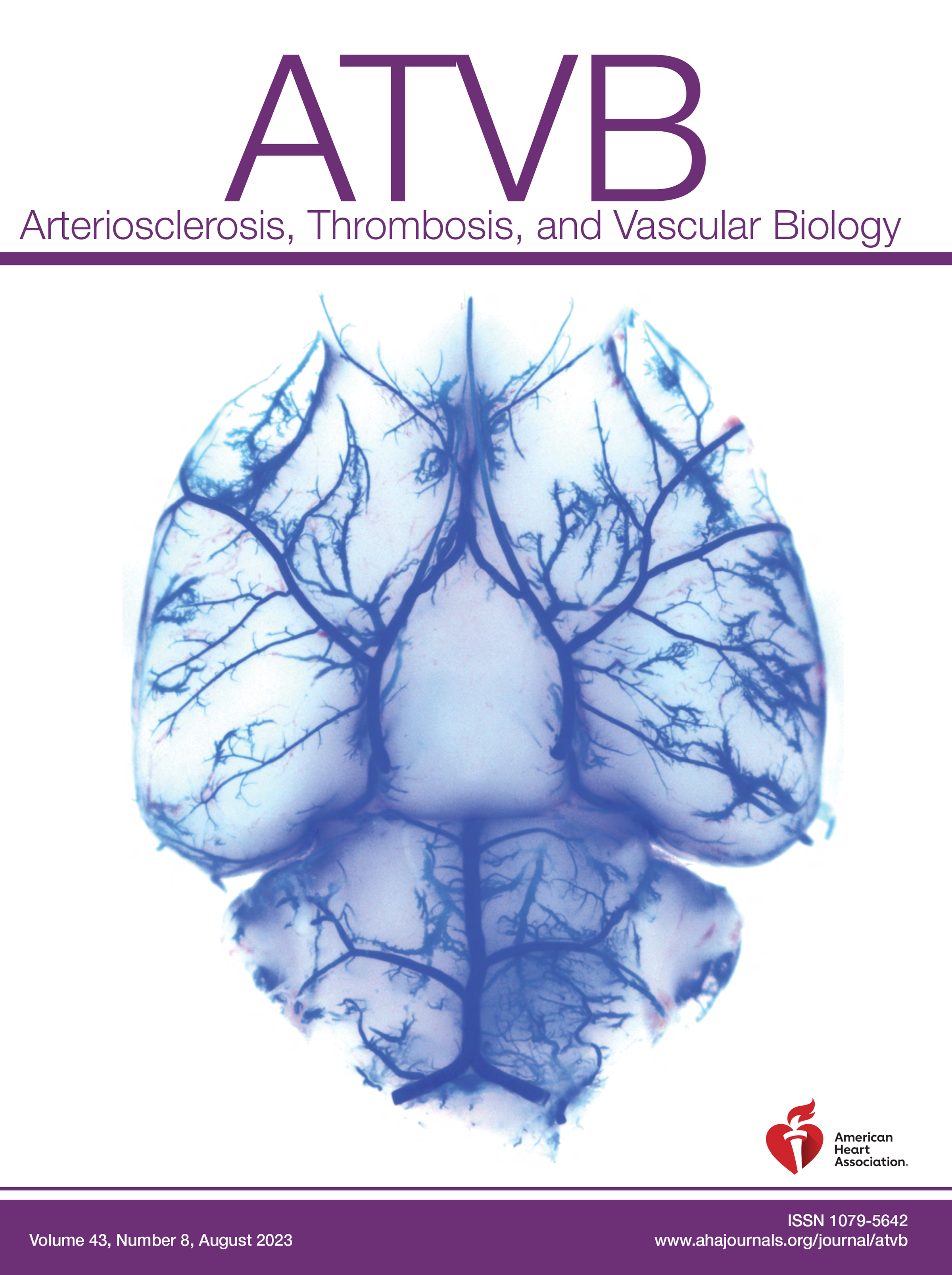 ARTERIOSCLEROSIS THROMBOSIS AND VASCULAR BIOLOGY