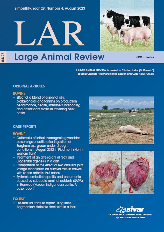 LARGE ANIMAL REVIEW
