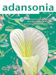 ADANSONIA