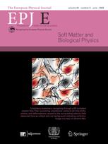 European Physical Journal E