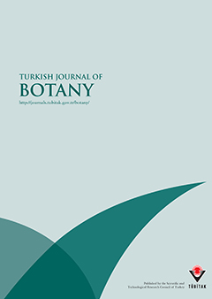 TURKISH JOURNAL OF BOTANY