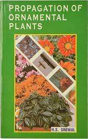 PROPAGATION OF ORNAMENTAL PLANTS