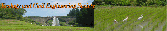 Ecology and Civil Engineering
