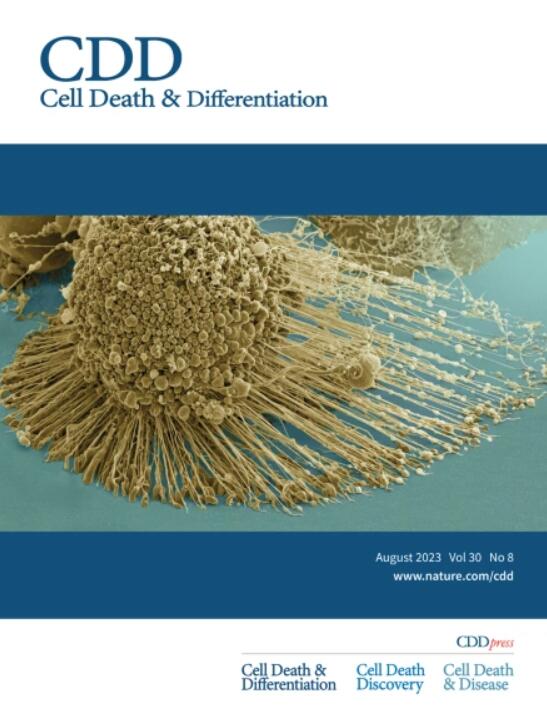 CELL DEATH AND DIFFERENTIATION