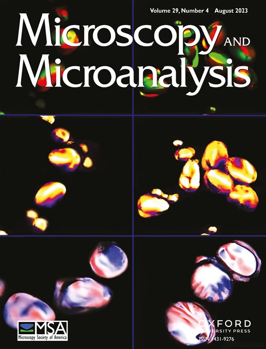 MICROSCOPY AND MICROANALYSIS