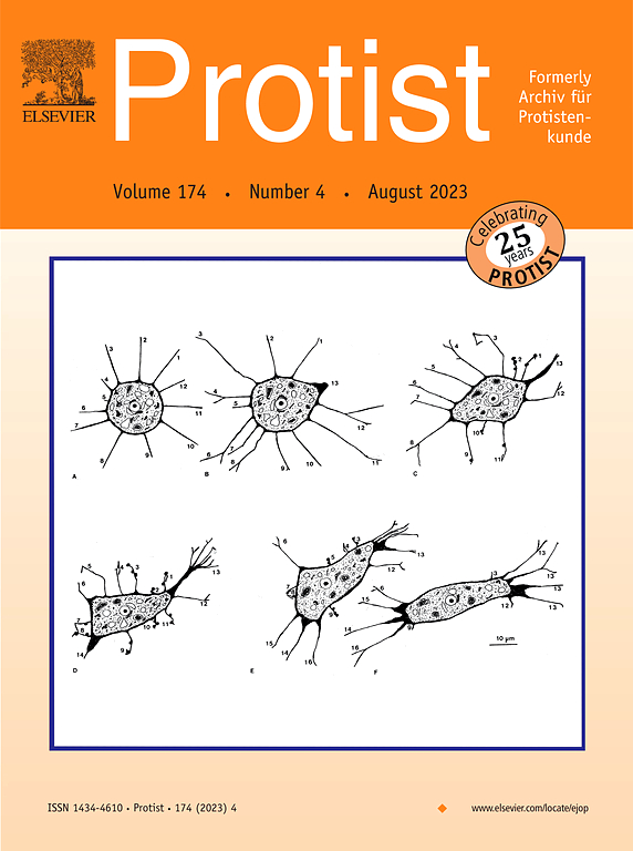 PROTIST