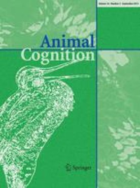 ANIMAL COGNITION
