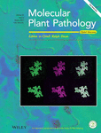 MOLECULAR PLANT PATHOLOGY