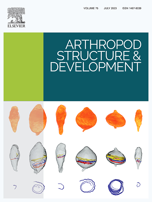 ARTHROPOD STRUCTURE & DEVELOPMENT