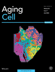 AGING CELL