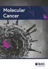 MOLECULAR CANCER