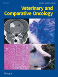 VETERINARY AND COMPARATIVE ONCOLOGY
