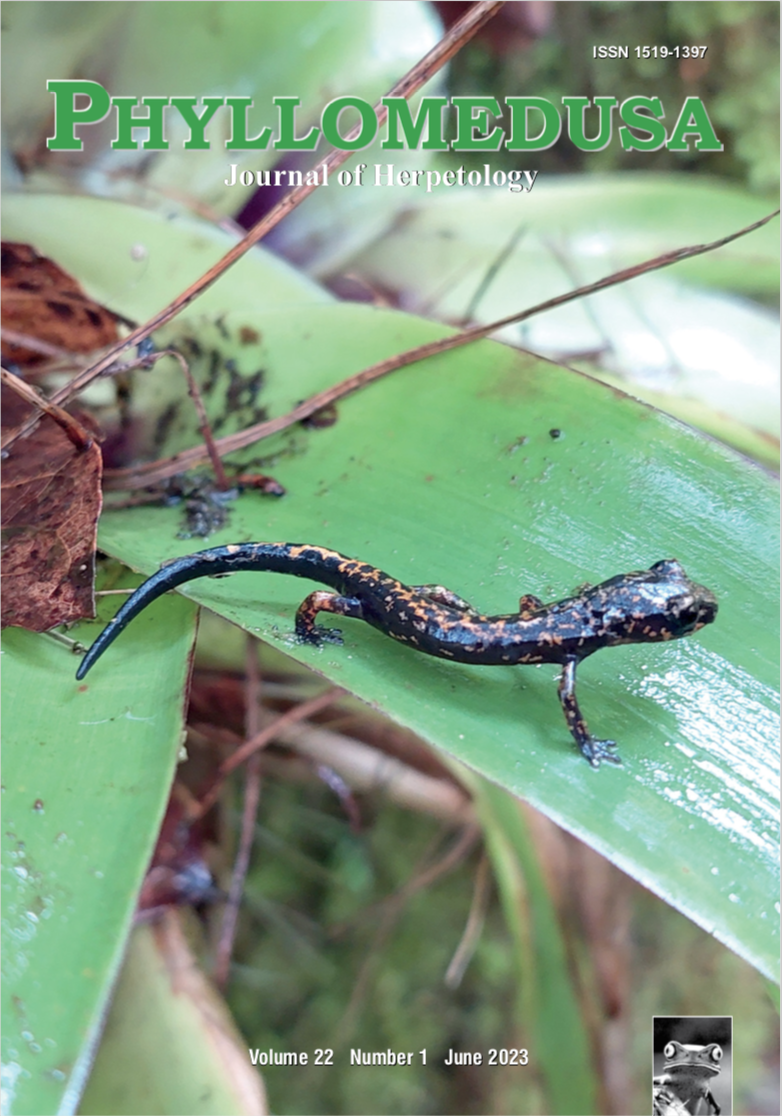 PHYLLOMEDUSA
