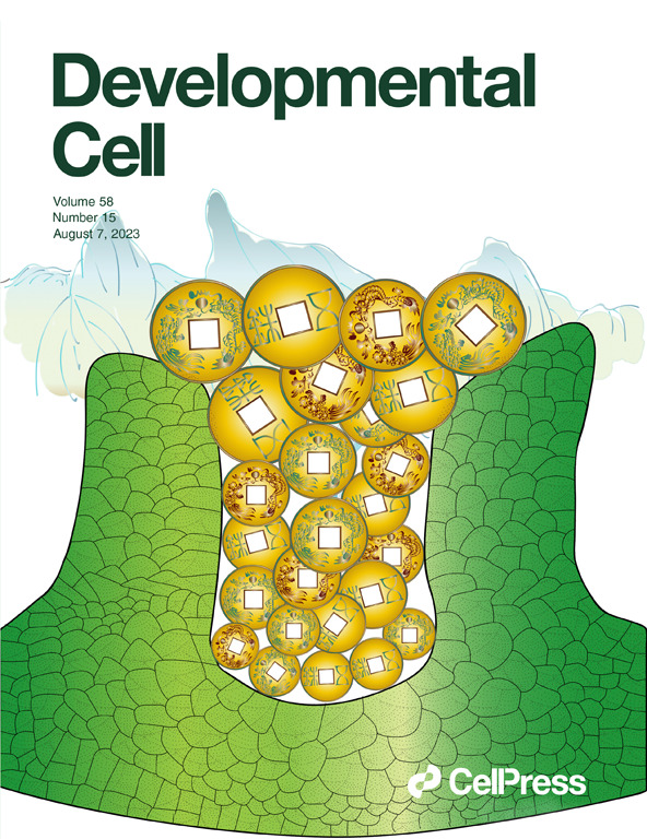 DEVELOPMENTAL CELL