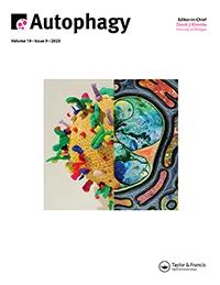 AUTOPHAGY