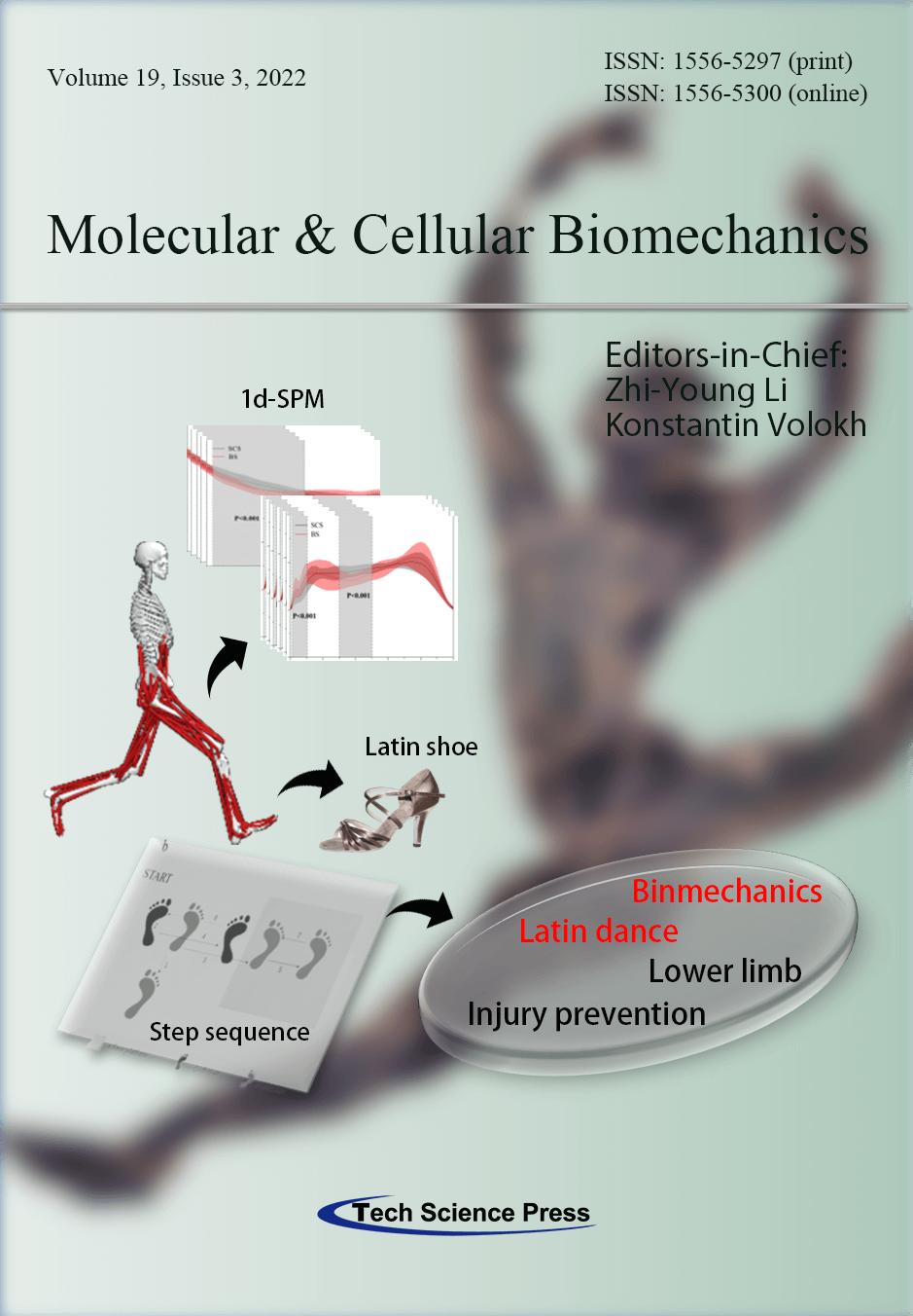 MCB Molecular and Cellular Biomechanics
