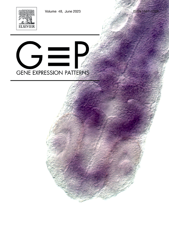 GENE EXPRESSION PATTERNS