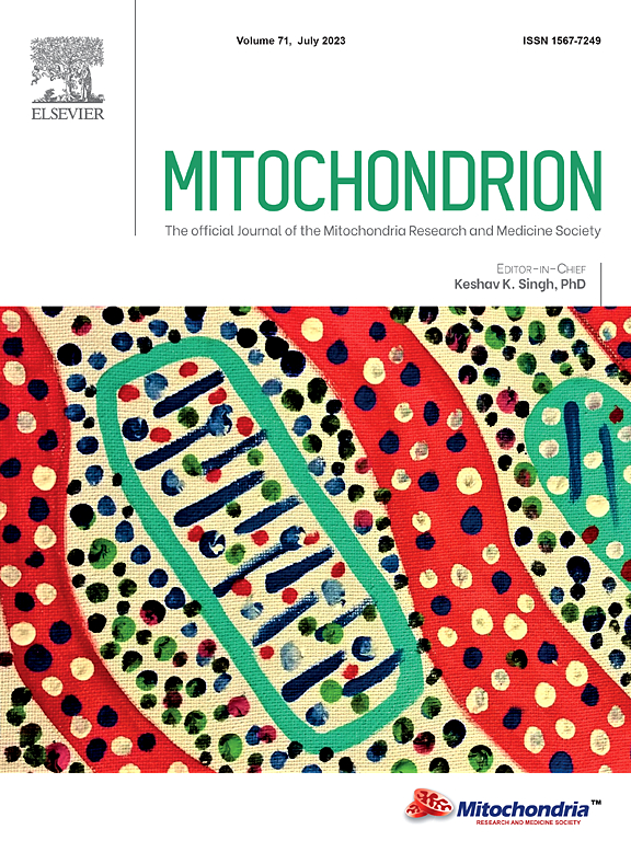 MITOCHONDRION