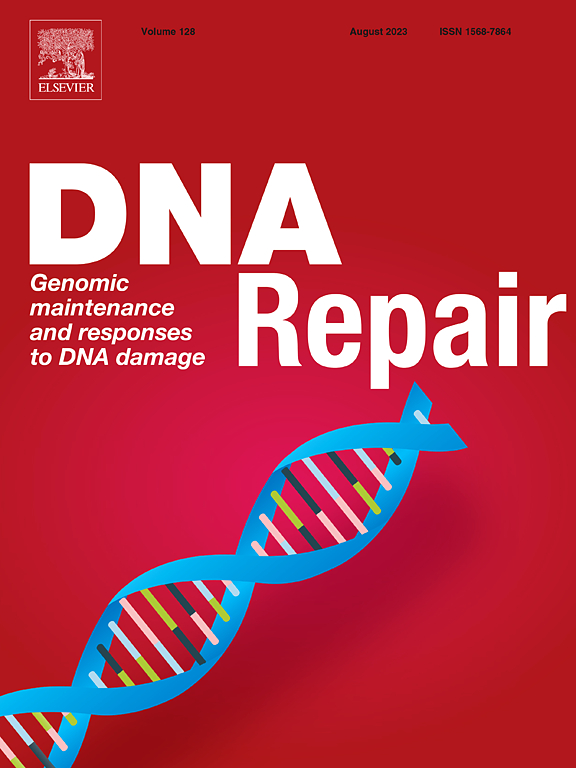 DNA REPAIR
