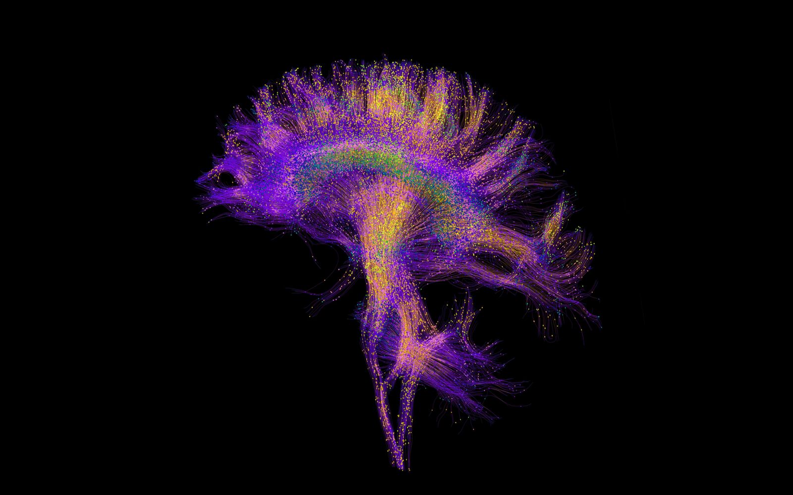 FRONTIERS IN INTEGRATIVE NEUROSCIENCE