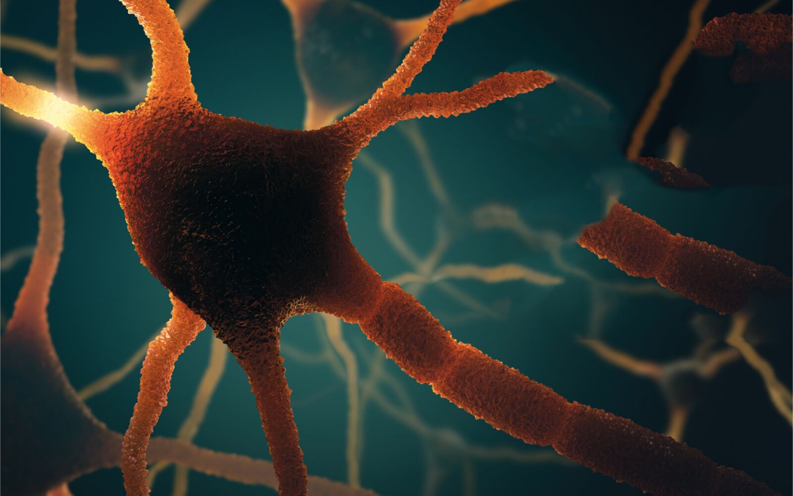 FRONTIERS IN AGING NEUROSCIENCE