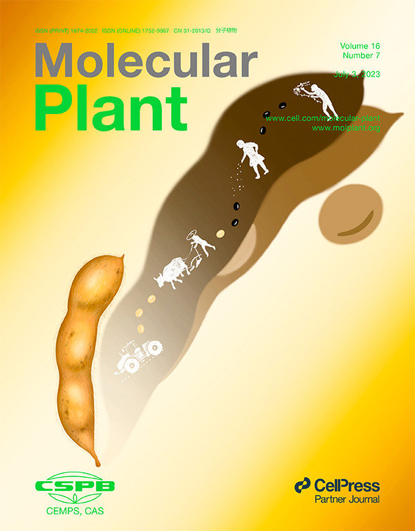 MOLECULAR PLANT