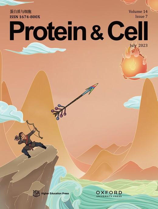 PROTEIN & CELL