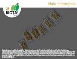 BIOTA NEOTROPICA