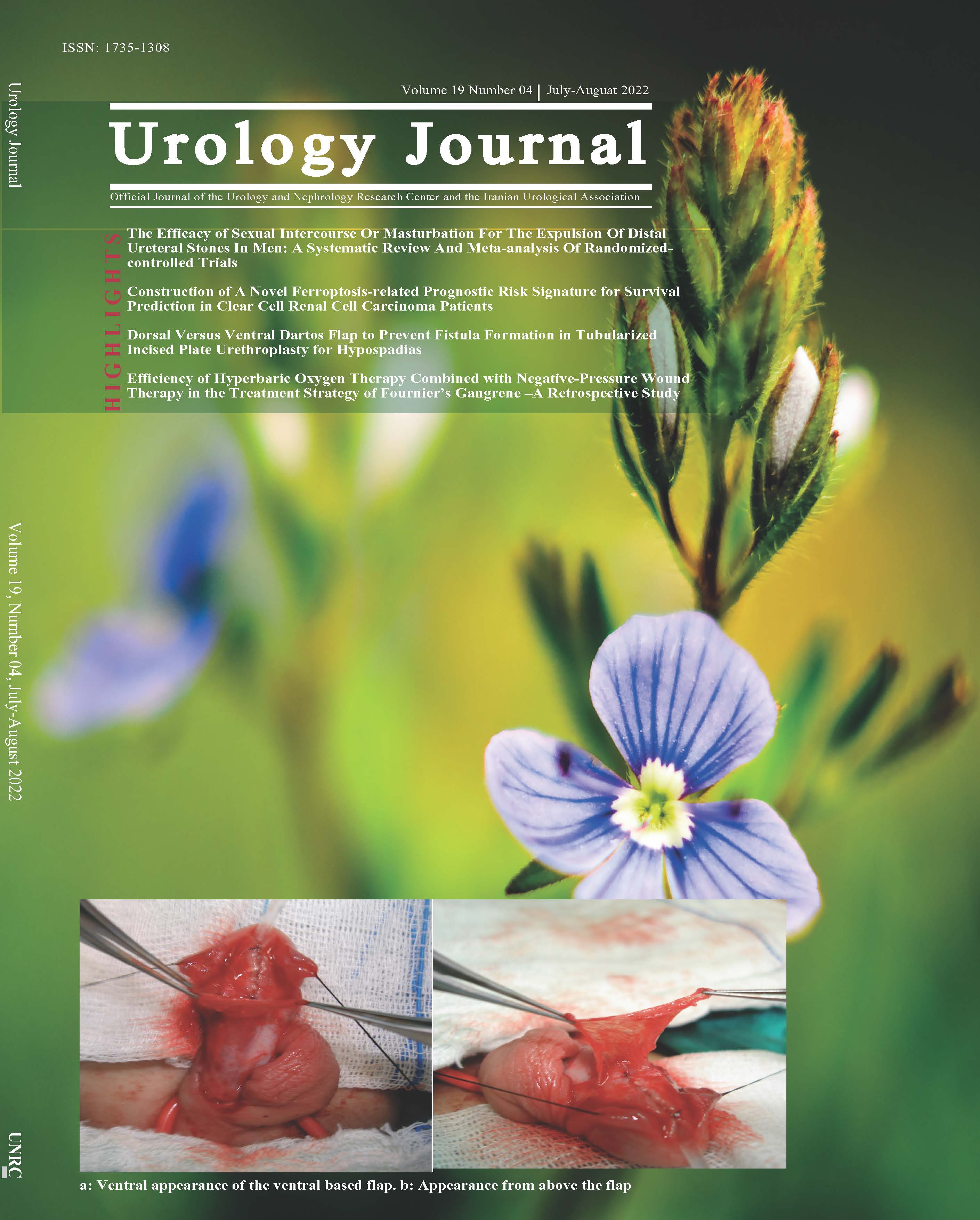 UROLOGY JOURNAL