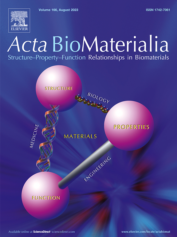 ACTA BIOMATERIALIA
