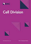CELL DIVISION