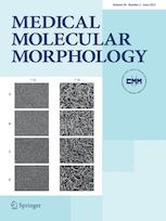 MEDICAL MOLECULAR MORPHOLOGY