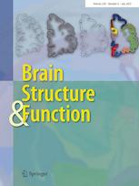 BRAIN STRUCTURE & FUNCTION