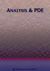 ANALYSIS & PDE
