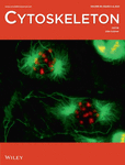 CYTOSKELETON