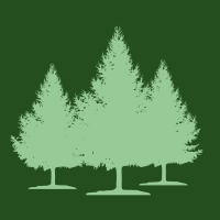 FORESTS
