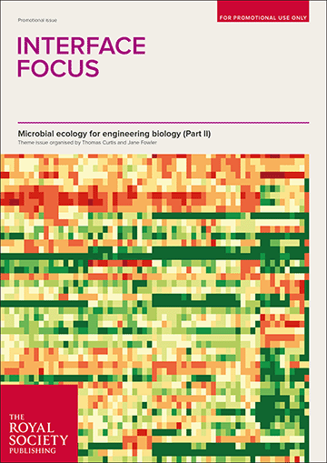 Interface Focus