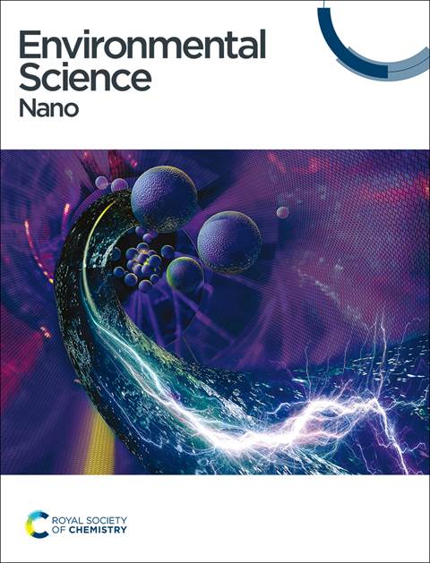 ENVIRONMENTAL SCIENCE-NANO