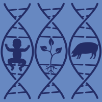 BIOLOGY-BASEL