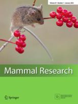 MAMMAL RESEARCH