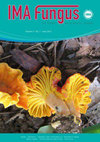 IMA FUNGUS