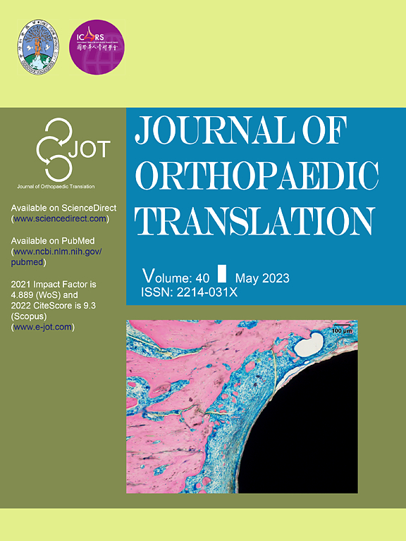 JOURNAL OF ORTHOPAEDIC TRANSLATION