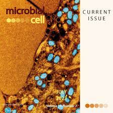 MICROBIAL CELL